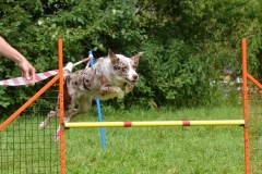 13592770_10209879137444339_654041556041890885_n 13592770_10209879137444339_654041556041890885_n