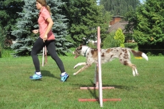 13900112_10210081291538065_8865477410692895255_n 13900112_10210081291538065_8865477410692895255_n