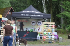 IMG_9793 IMG_9793