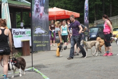 IMG_9822 IMG_9822