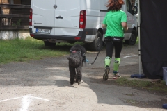 IMG_9843 IMG_9843