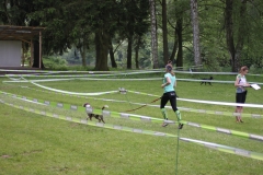 IMG_9877 IMG_9877