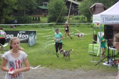 IMG_9878 IMG_9878