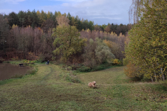 IMG_20221105_100635