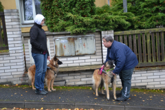 DSC_0301