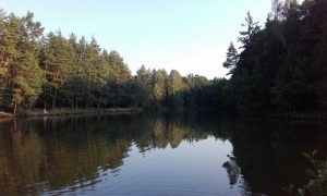 20160913_173425_resized