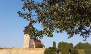 20160913_174956_resized