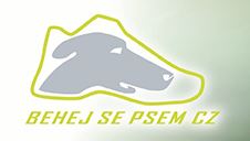 logo_behejsepsem